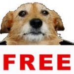 Free Nail Clip from Splash hounds Dog Wash