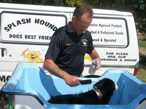 Splashhounds in Canning Vale